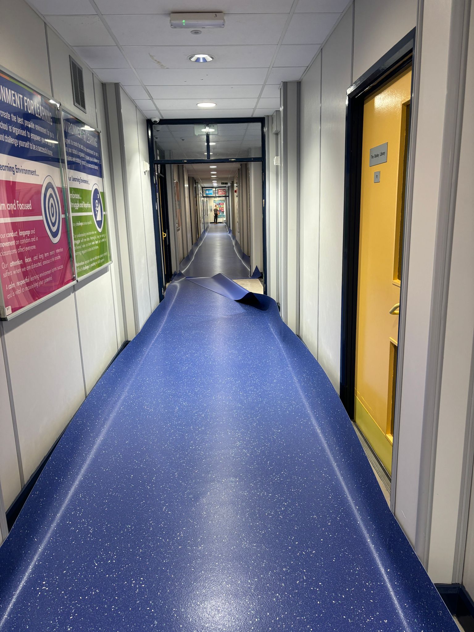 The Floor Company - Commercial Flooring - Medical Industry